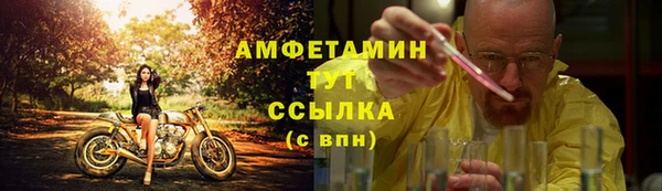 бошки Пересвет
