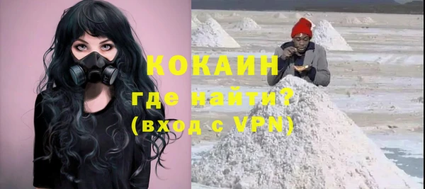 бошки Пересвет