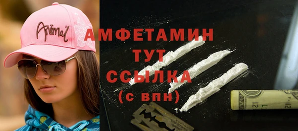 бошки Пересвет