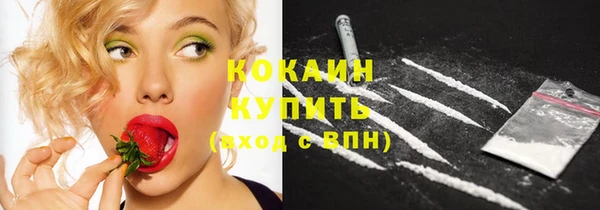 бошки Переславль-Залесский
