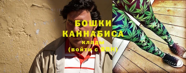 бошки Пересвет