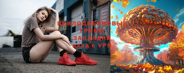 бошки Переславль-Залесский