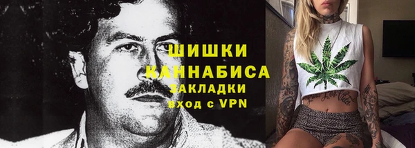 бошки Пересвет