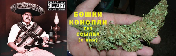 бошки Пересвет