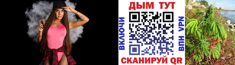 мориарти как зайти  Терек  Бошки марихуана тримм 